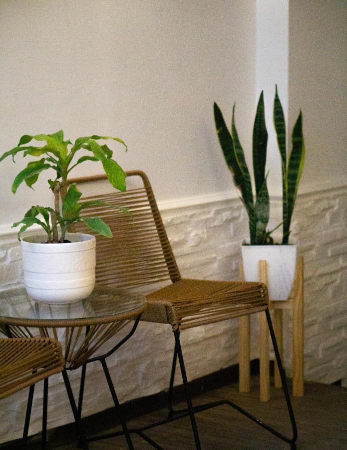Casa Yuri 호텔 살타 외부 사진